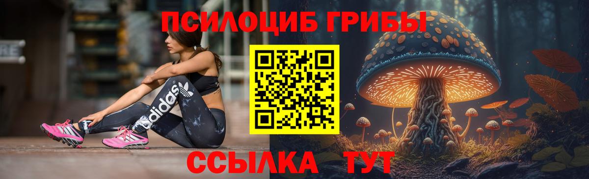 Галлюциногенные грибы мухоморы  Вход с VPN  что такое наркотик  Ливны 
